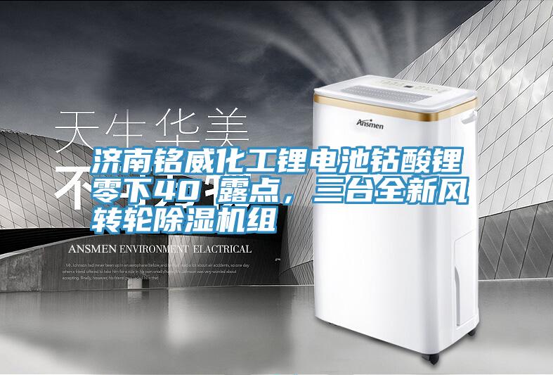 濟南銘威化工鋰電池鈷酸鋰零下40℃露點，三臺全新風(fēng)轉(zhuǎn)輪除濕機組