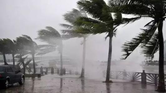 8月臺(tái)風(fēng)雨即將來(lái)，除濕機(jī)還得用起來(lái)