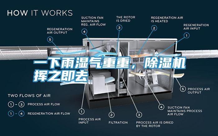 一下雨濕氣重重，除濕機揮之即去