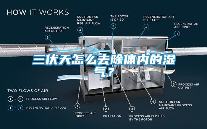 三伏天怎么去除體內(nèi)的濕氣？