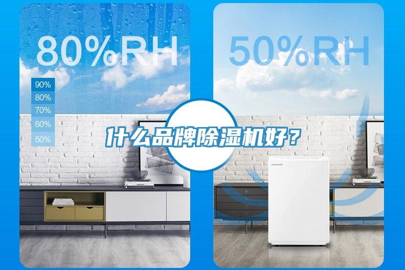 什么品牌除濕機(jī)好？