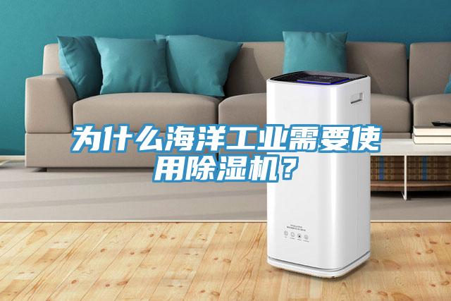 為什么海洋工業(yè)需要使用除濕機？