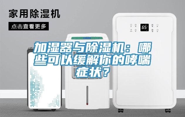 加濕器與除濕機：哪些可以緩解你的哮喘癥狀？