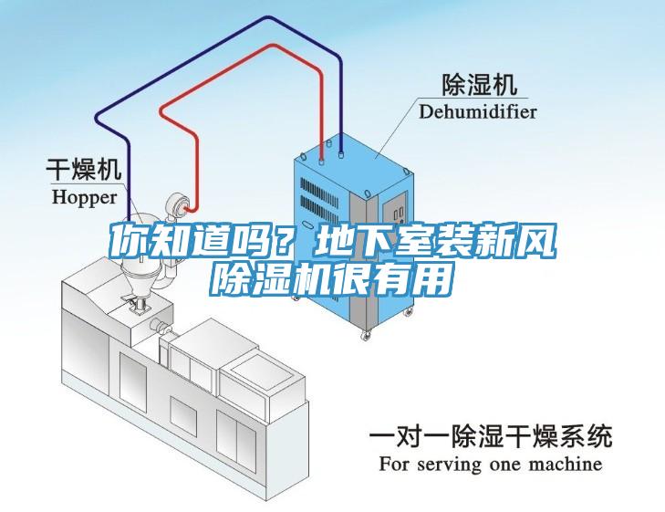 你知道嗎？地下室裝新風(fēng)除濕機(jī)很有用