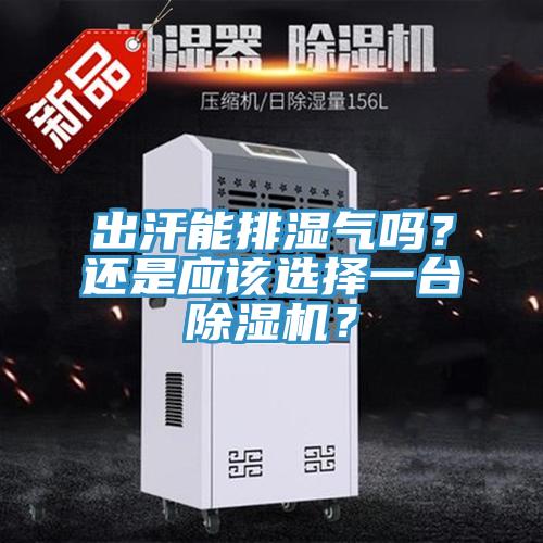 出汗能排濕氣嗎？還是應該選擇一臺除濕機？