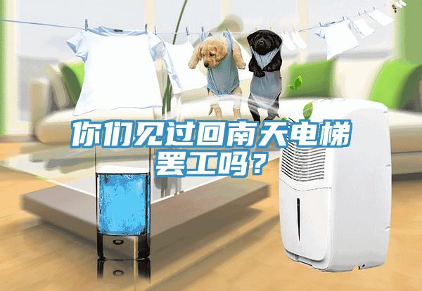 你們見過回南天電梯罷工嗎？