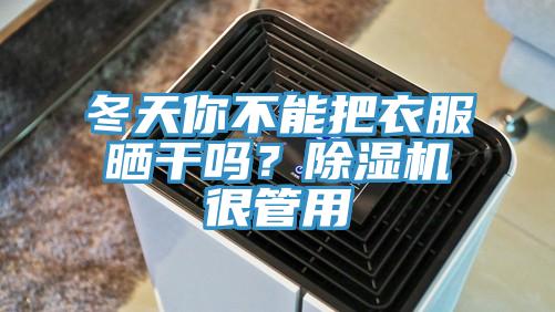 冬天你不能把衣服曬干嗎？除濕機很管用