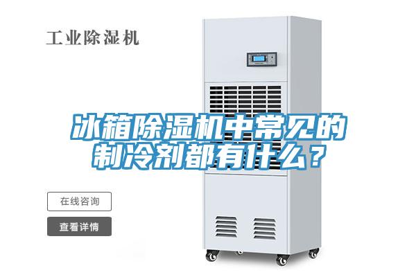 冰箱除濕機中常見的制冷劑都有什么？