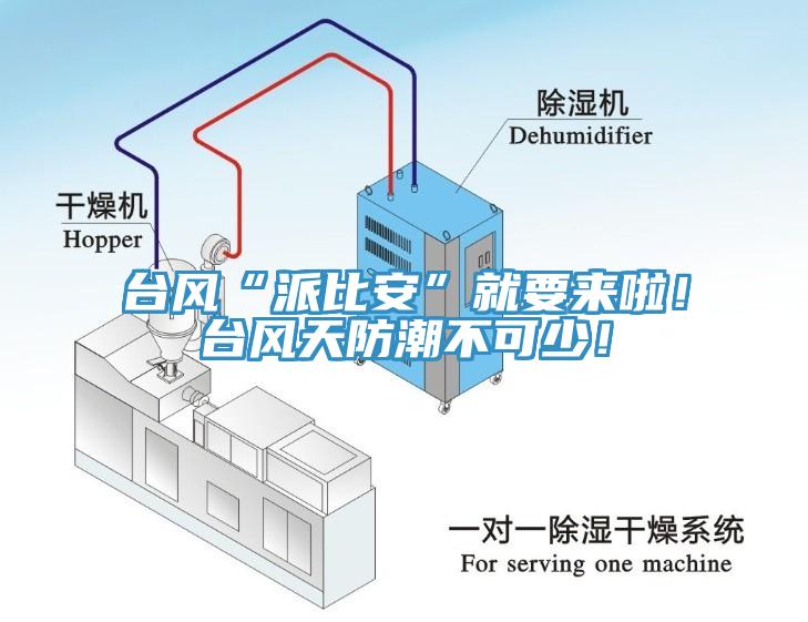 臺風(fēng)“派比安”就要來啦！臺風(fēng)天防潮不可少！