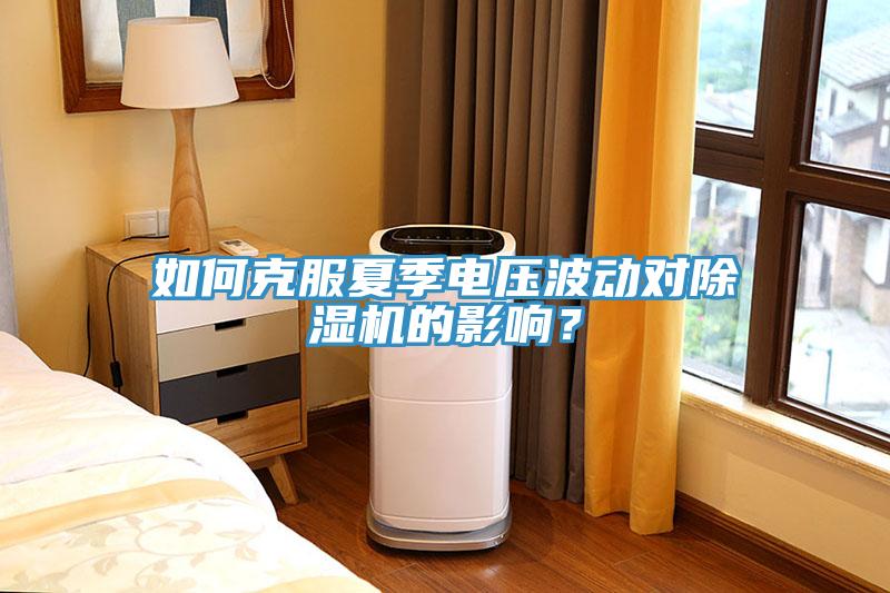 如何克服夏季電壓波動(dòng)對(duì)除濕機(jī)的影響？