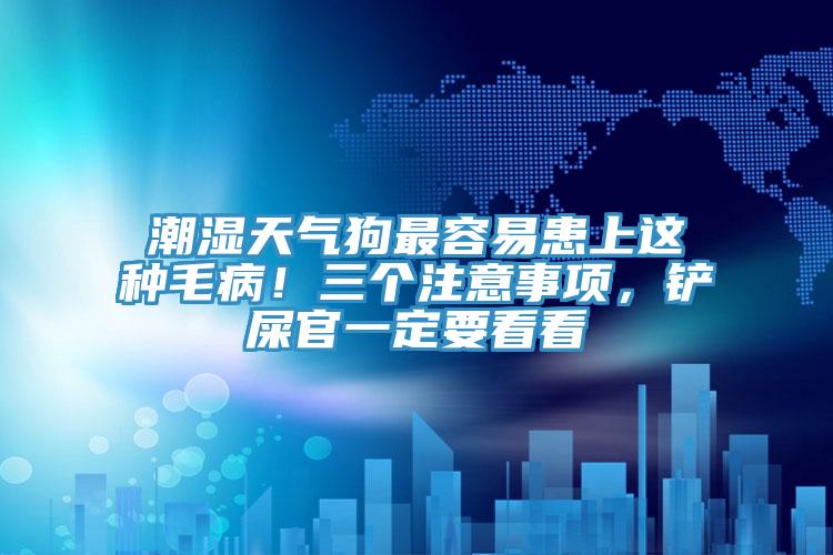 潮濕天氣狗最容易患上這種毛??！三個注意事項，鏟屎官一定要看看