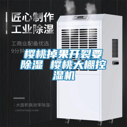 櫻桃掉果開裂要除濕 櫻桃大棚控濕機