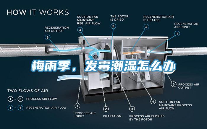 梅雨季，發(fā)霉潮濕怎么辦