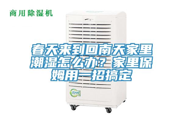 春天來到回南天家里潮濕怎么辦？家里保姆用一招搞定