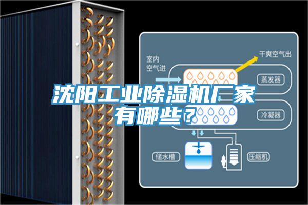 沈陽工業(yè)除濕機廠家有哪些？