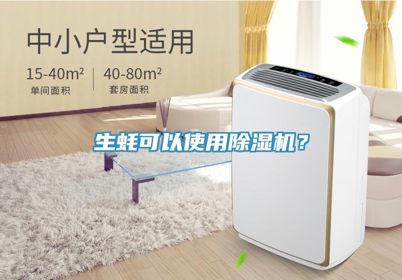 生蠔可以使用除濕機(jī)？