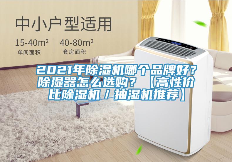 2021年除濕機(jī)哪個品牌好？除濕器怎么選購？【高性價比除濕機(jī)／抽濕機(jī)推薦】