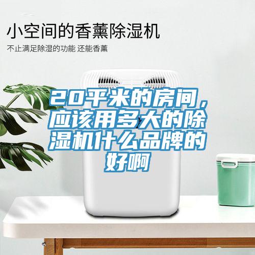 20平米的房間，應(yīng)該用多大的除濕機(jī)什么品牌的好啊