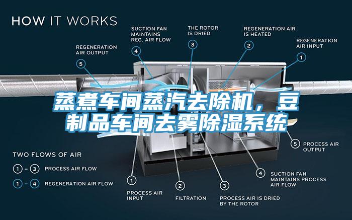 蒸煮車間蒸汽去除機(jī)，豆制品車間去霧除濕系統(tǒng)