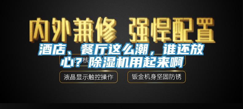 酒店、餐廳這么潮，誰(shuí)還放心？除濕機(jī)用起來(lái)啊