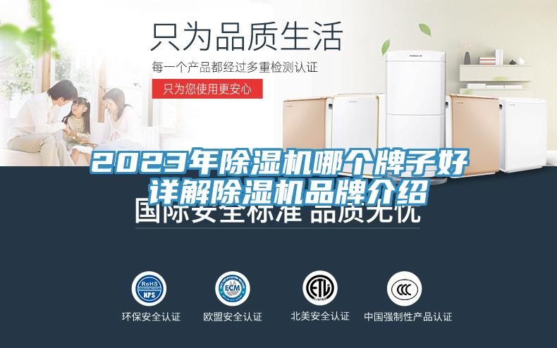 2023年除濕機(jī)哪個牌子好 詳解除濕機(jī)品牌介紹