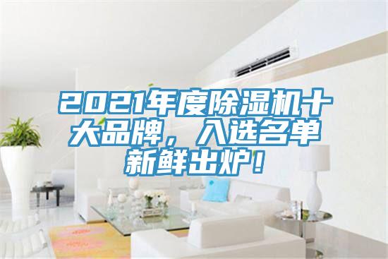 2021年度除濕機(jī)十大品牌，入選名單新鮮出爐！