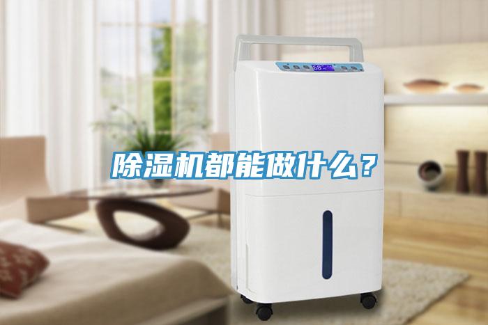 除濕機(jī)都能做什么？