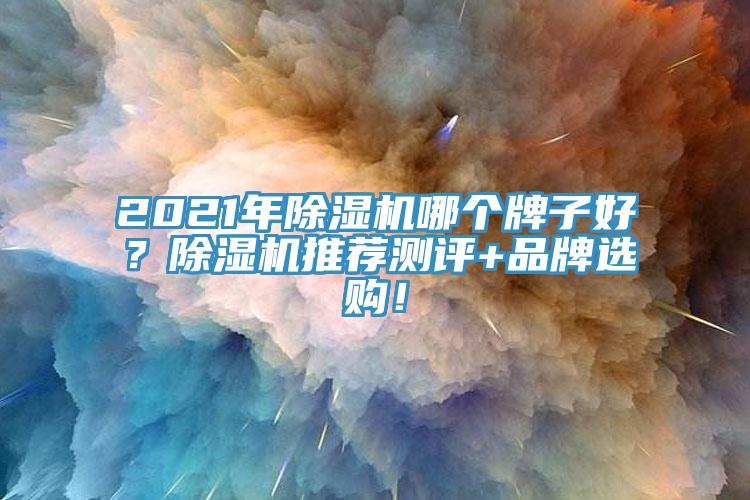 2021年除濕機(jī)哪個牌子好？除濕機(jī)推薦測評+品牌選購！