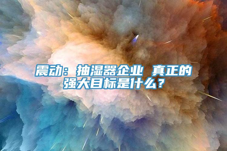 震動：抽濕器企業(yè) 真正的強大目標(biāo)是什么？