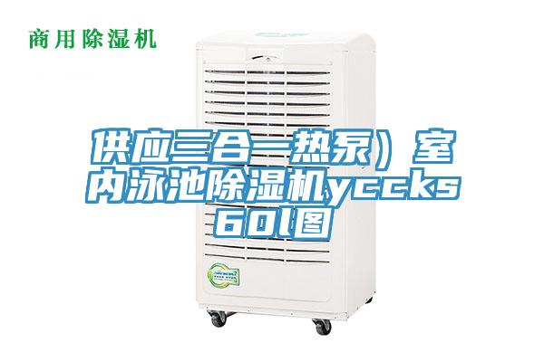 供應(yīng)三合一熱泵）室內(nèi)泳池除濕機yccks60l圖