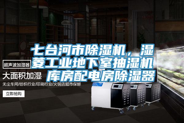 七臺河市除濕機，濕菱工業(yè)地下室抽濕機  庫房配電房除濕器