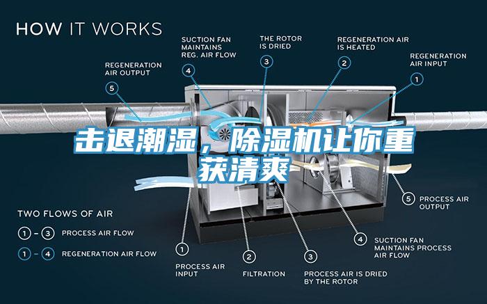 擊退潮濕，除濕機(jī)讓你重獲清爽