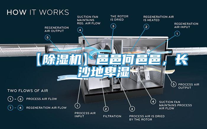 【除濕機(jī)】邑邑何邑邑，長沙地卑濕