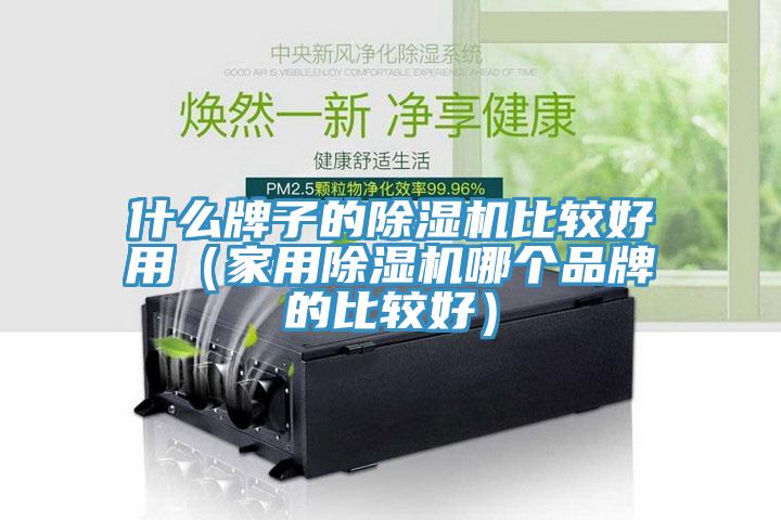 什么牌子的除濕機(jī)比較好用（家用除濕機(jī)哪個(gè)品牌的比較好）