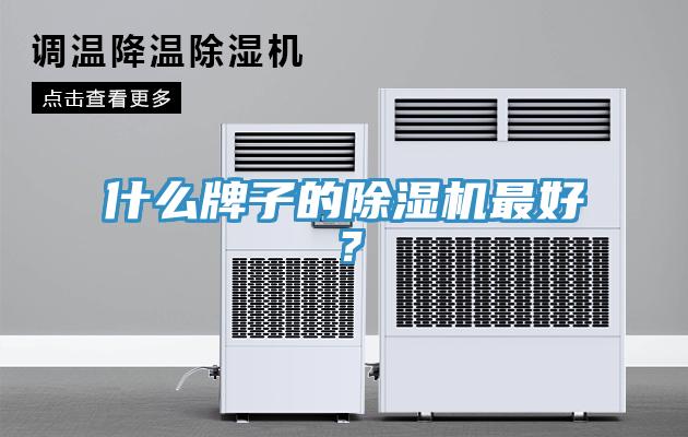 什么牌子的除濕機最好？