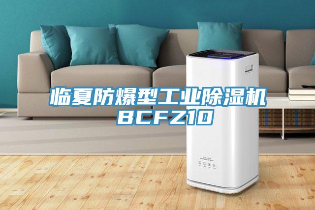 臨夏防爆型工業(yè)除濕機 BCFZ10