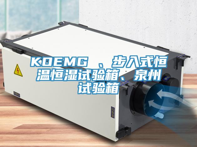 KOEMG 、步入式恒溫恒濕試驗箱、泉州試驗箱