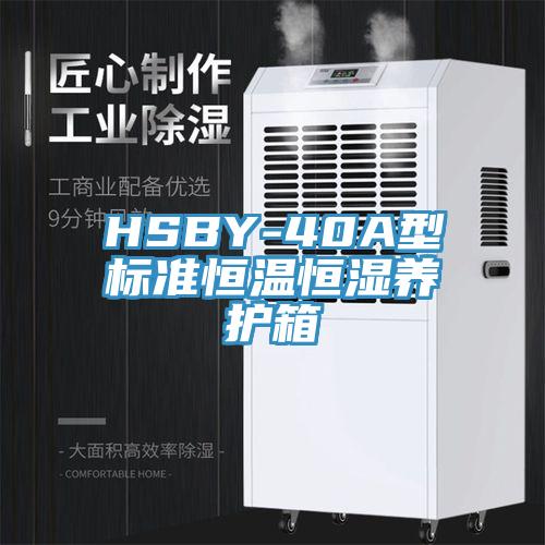 HSBY-40A型標(biāo)準(zhǔn)恒溫恒濕養(yǎng)護(hù)箱