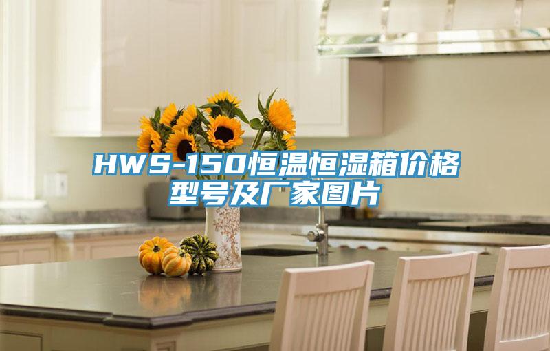 HWS-150恒溫恒濕箱價格型號及廠家圖片