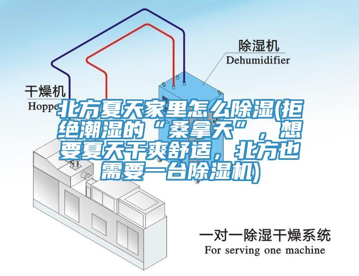 北方夏天家里怎么除濕(拒絕潮濕的“桑拿天”，想要夏天干爽舒適，北方也需要一臺除濕機)