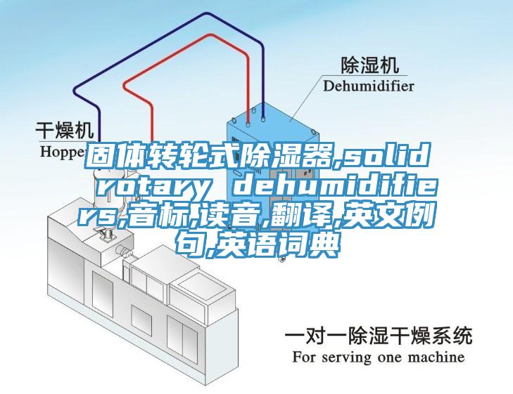 固體轉(zhuǎn)輪式除濕器,solid rotary dehumidifiers,音標(biāo),讀音,翻譯,英文例句,英語(yǔ)詞典