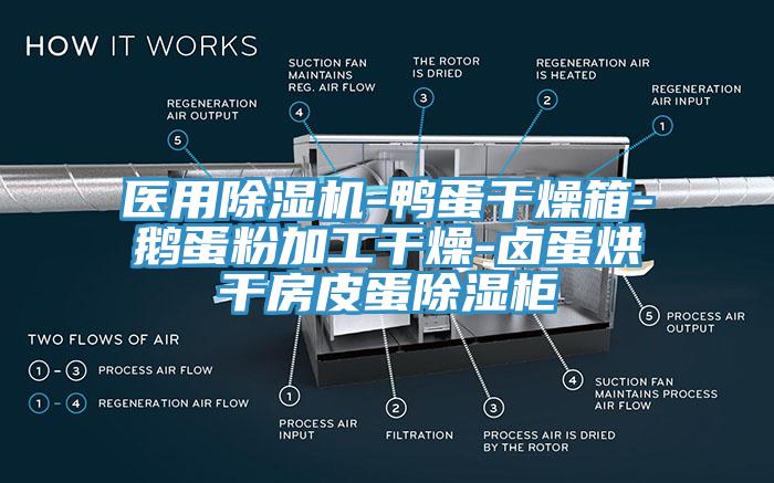 醫(yī)用除濕機(jī)-鴨蛋干燥箱-鵝蛋粉加工干燥-鹵蛋烘干房皮蛋除濕柜