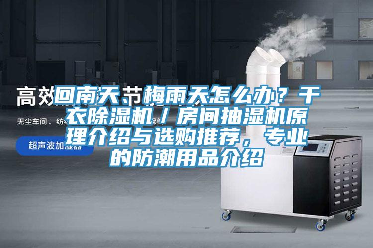 回南天、梅雨天怎么辦？干衣除濕機／房間抽濕機原理介紹與選購?fù)扑]，專業(yè)的防潮用品介紹