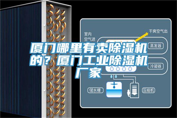 廈門哪里有賣除濕機的？廈門工業(yè)除濕機廠家