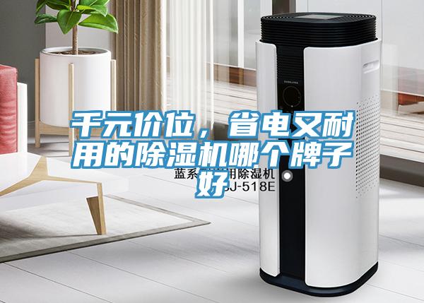 千元價位，省電又耐用的除濕機(jī)哪個牌子好