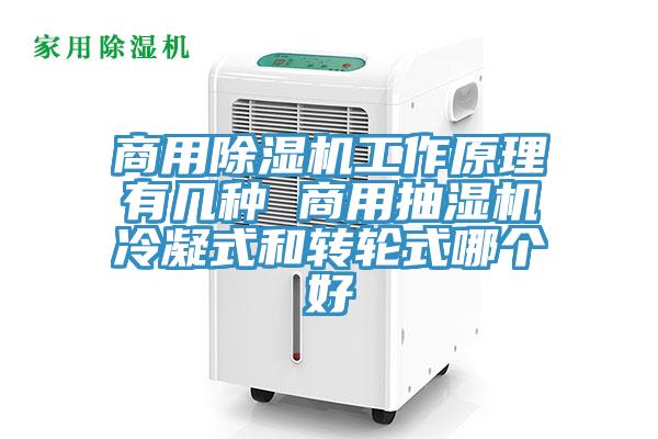 商用除濕機工作原理有幾種 商用抽濕機冷凝式和轉(zhuǎn)輪式哪個好