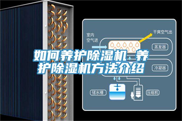 如何養(yǎng)護除濕機 養(yǎng)護除濕機方法介紹