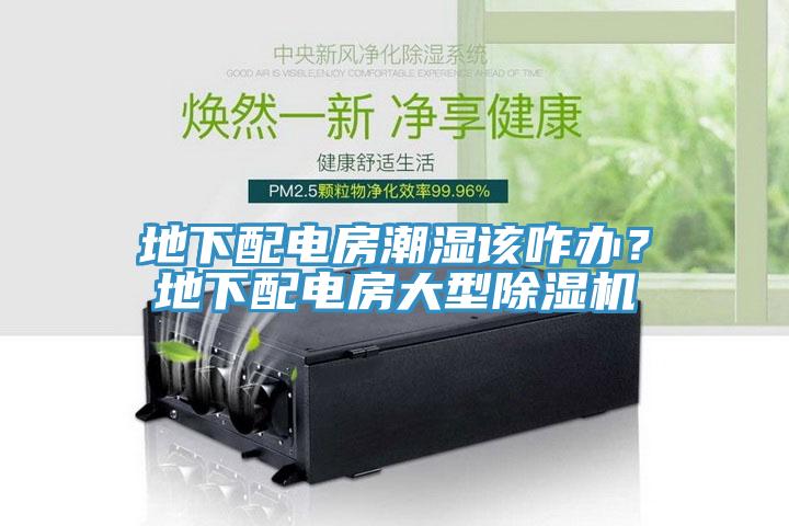 地下配電房潮濕該咋辦？地下配電房大型除濕機