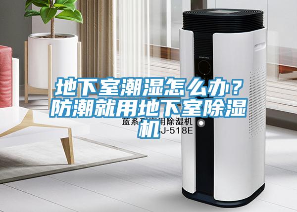 地下室潮濕怎么辦？防潮就用地下室除濕機