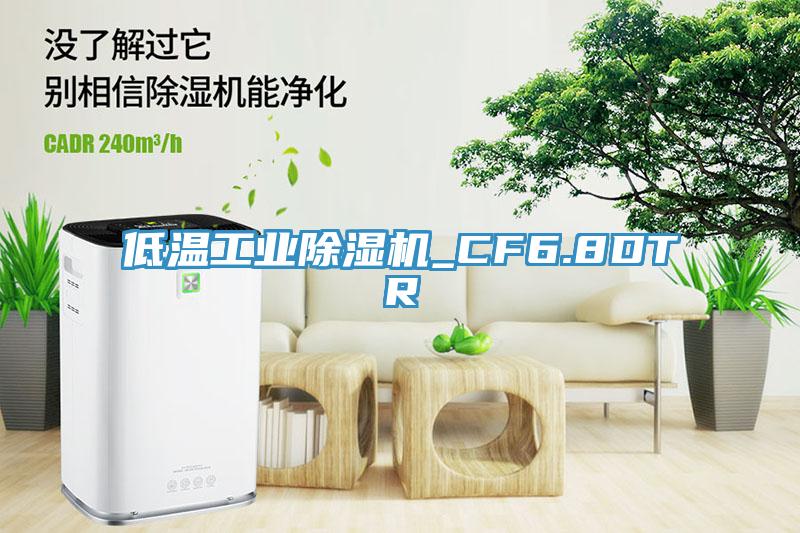 低溫工業(yè)除濕機_CF6.8DTR